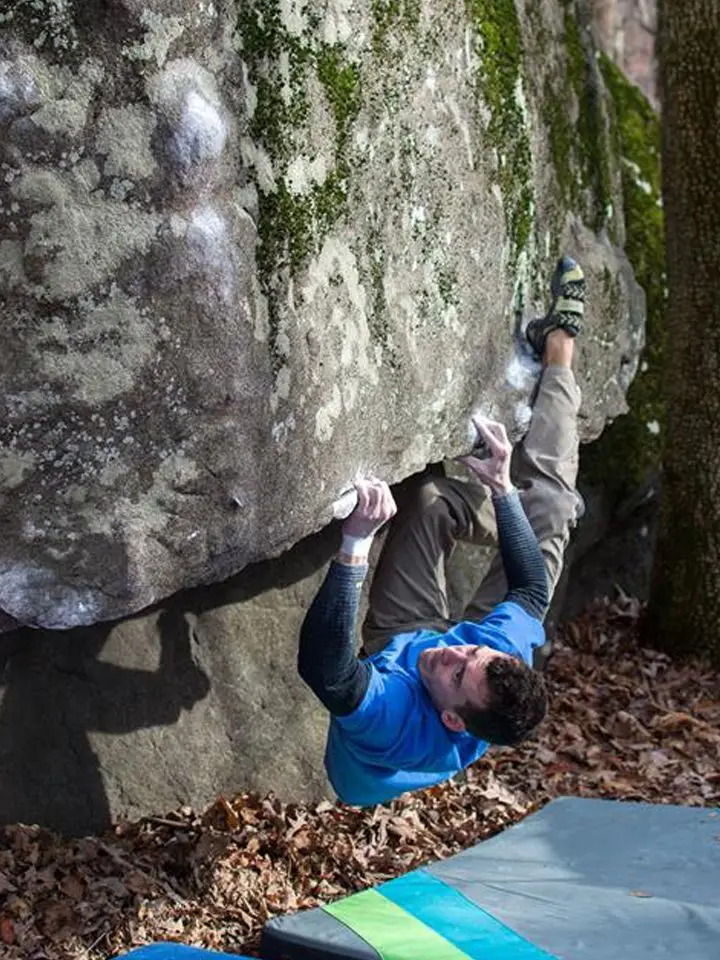 Chris Palmer